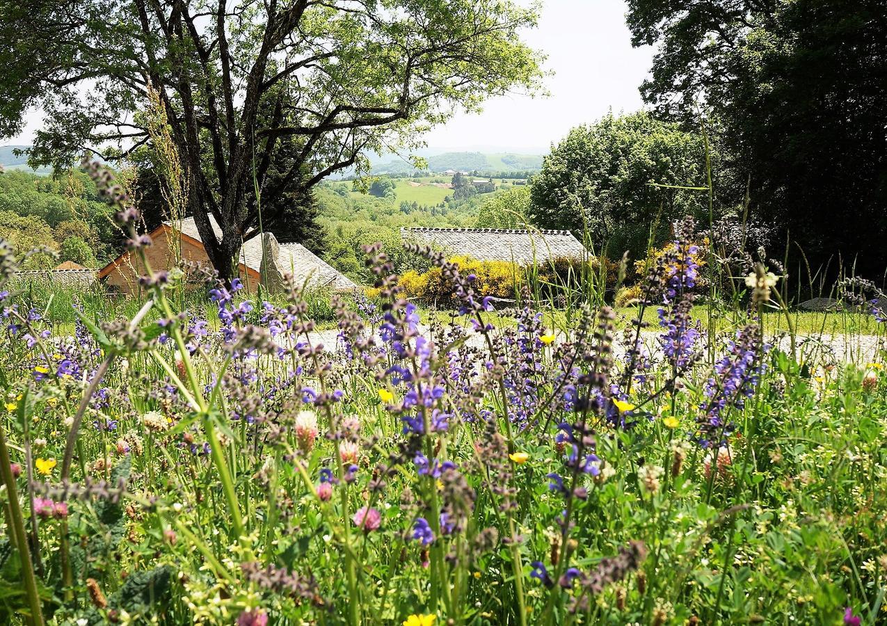 Domaine Des Marequiers Chambre Alchemille Saint-Germain-du-Teil Bagian luar foto